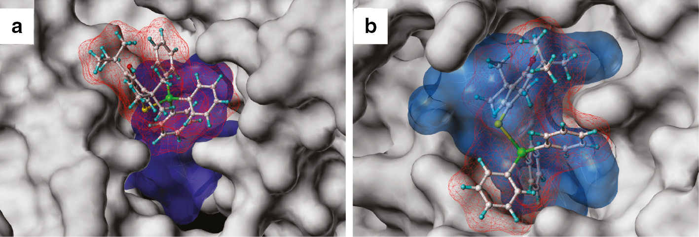 Fig. 8: 
The best scored orientations of compound Sn-II (a, b) in the ligand binding sites of 4EB6 (a) and 1JFF (b). Cognate ligands [vinblastine (a) and paclitaxel (b)] are shown as blue translucent surfaces, organotin is shown as balls-and sticks and red coloured surface [51].
