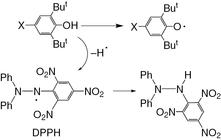 Scheme 3:
Mechanism of radical scavenging activity of 2,6-di-tert-butylphenols with DPPH.