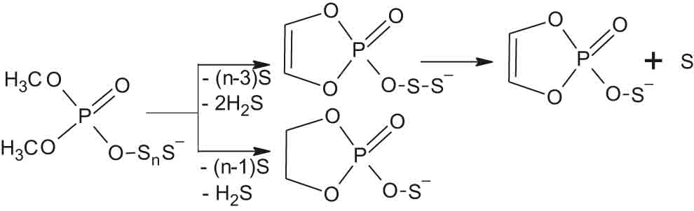Scheme 1:
Reactions expected to proceed during laser desorption of the products of 1,3-dimethylimidazolium dimethylphosphate interaction with S8.