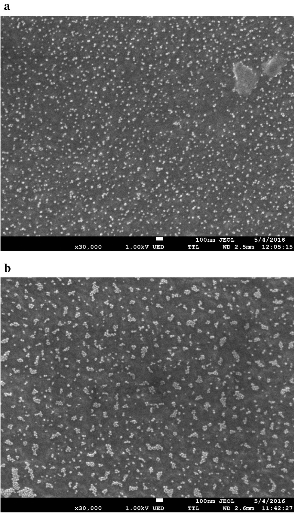 Fig. 2: A TEM image of PUF–AuNPs/Cit nanocomposite before (a) and after (b) interaction with 1 μg mL−1 solution of cysteine.