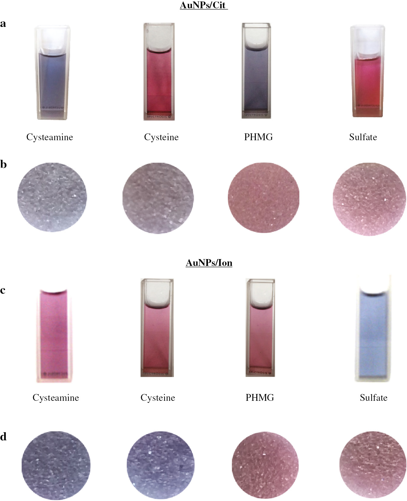Fig. 3: Comparison of selectivity of AuNPs/Cit (a, b) and AuNPs/Ion (c, d) aggregation in a solution (a, c) and on PUF (b, d) in presence of cysteamine, cysteine, PHMG and sulfate.