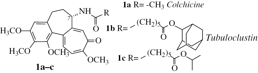 Fig. 1:
Structures of colchicine (1a) and its derivatives 1b and 1c. Compound 1b (tubuloclustin) stimulates the formation of long tubulin clusters in cancer cells and is more cytotoxic than the parent molecule 1a. Compound 1c with less voluminous than adamantane isopropyl moiety stimulates the formation of “point-like” tubulin clusters and is less cytotoxic than 1b.