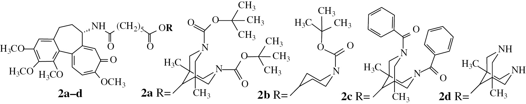 Fig. 2:
Structures of tubuloclustin analogues synthesized in the present work.