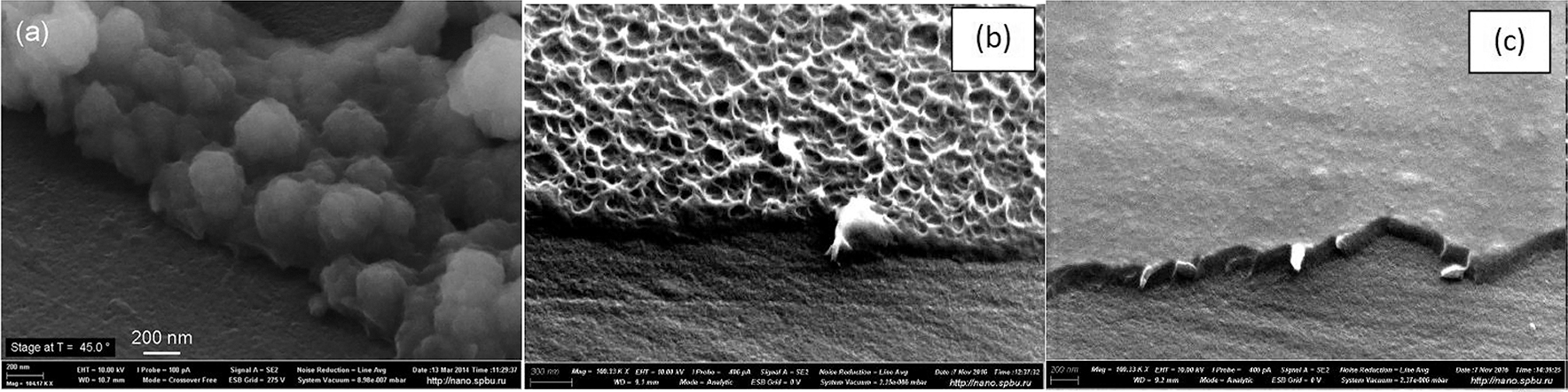 Fig. 5: 
SEM images of poly-[M(salen)] films: poly-[Ni(Salen)] (a) [44], poly-[Со(CH3OSalEn)] (b), poly-[Co(SaltmEn)] (c) [51].

