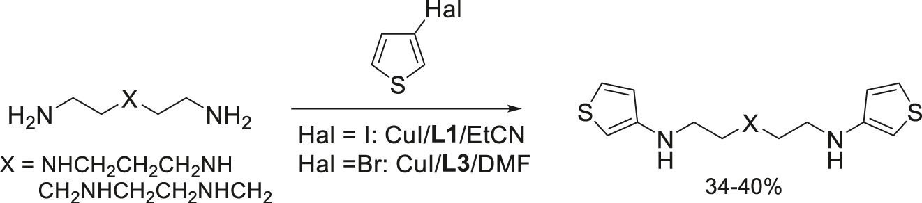 Scheme 20:
Cu(I)-catalyzed N,N′-diheteroarylation of the tetraamines with 3-halogenothiophenes.