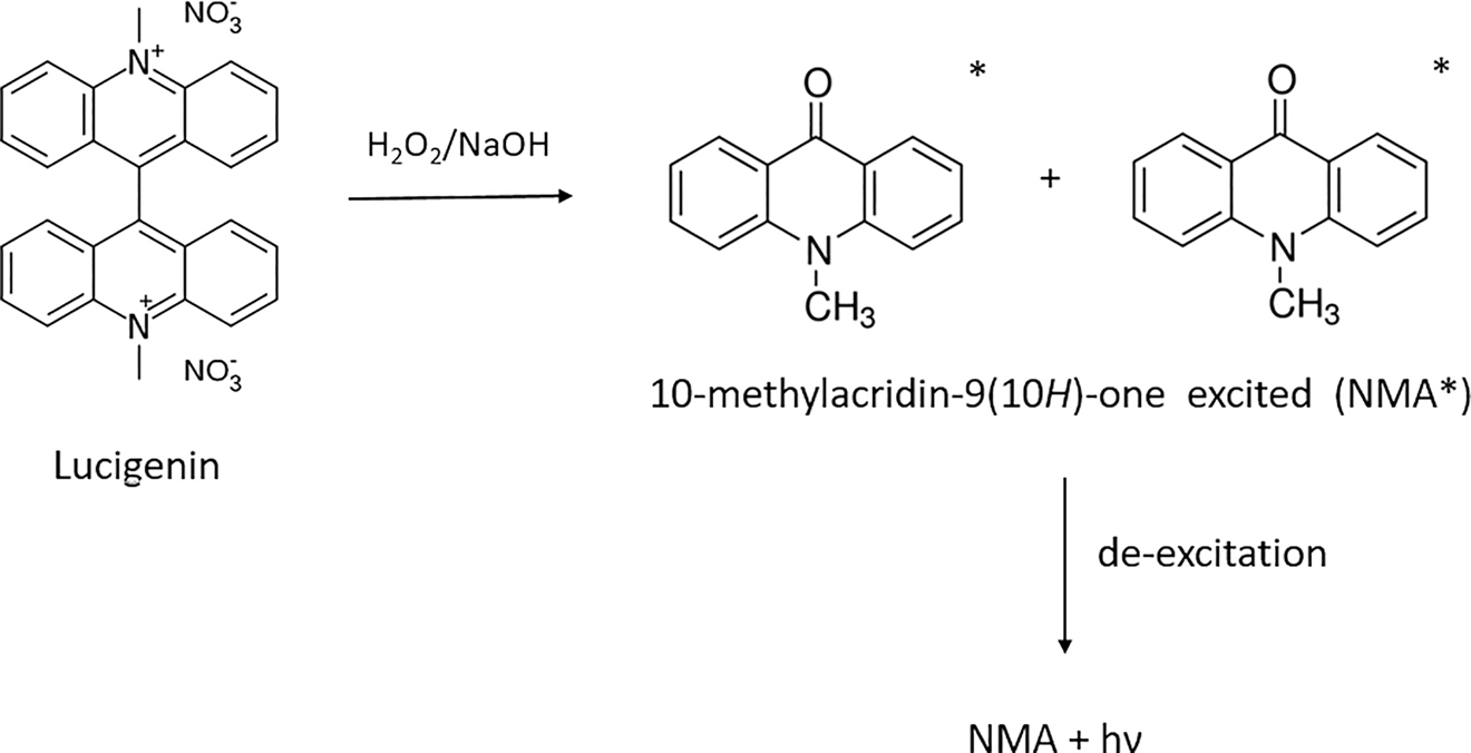 Fig. 4: 
            Schematic reaction scheme of lucigenin with H2O2 in alkaline medium (* indicates an excited molecule).
          