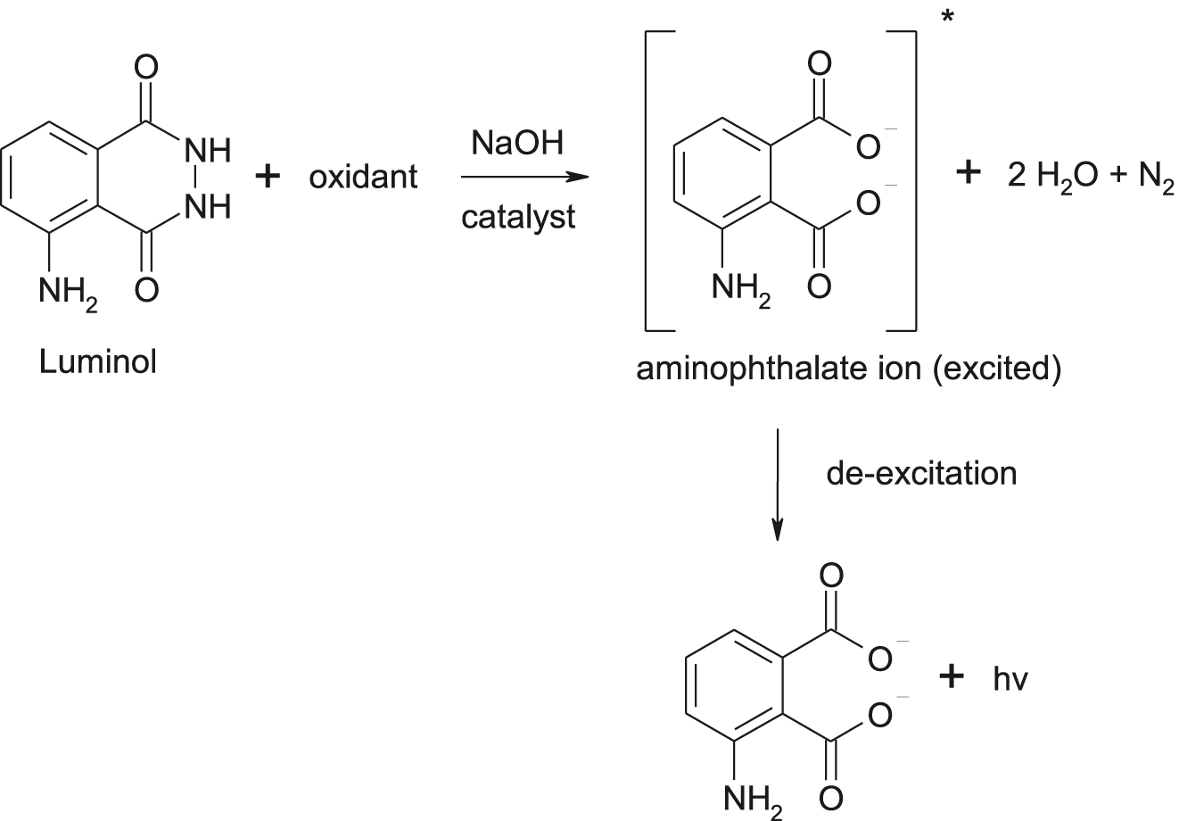 Fig. 5: 
            Schematic reaction scheme of luminol with H2O2 in alkaline medium (* indicates an excited molecule).
          