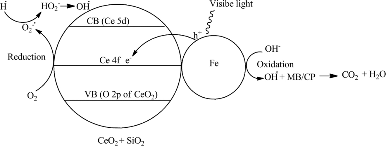 Fig. 12: 
            Schematic representation of Fe/CeO2–SiO2 nanocomposite as catalyst under visible light for degradation of MB and CP.
          