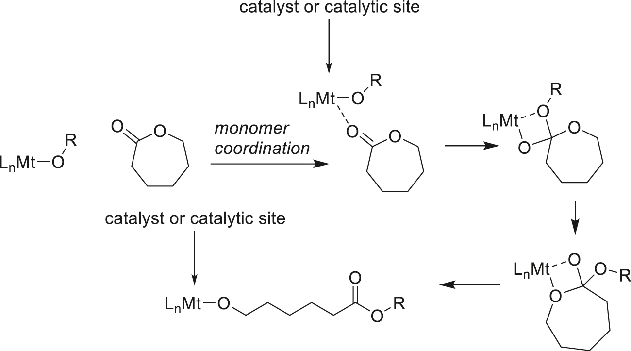 Scheme 20: 
          
            Chain-propagation step in ring-opening coordination polymerization of caprolactone.
        