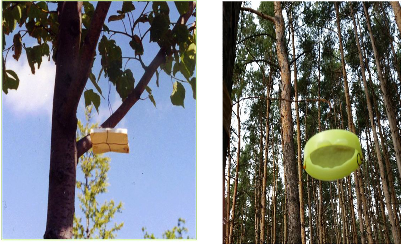 Fig. 2:
Example arrangements of absorbers in woodlands.