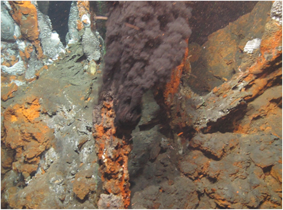Fig. 5: 
ROV still image of active chimney from the Moytirra hydrothermal vent in the Middle Atlantic Ridge [57].
