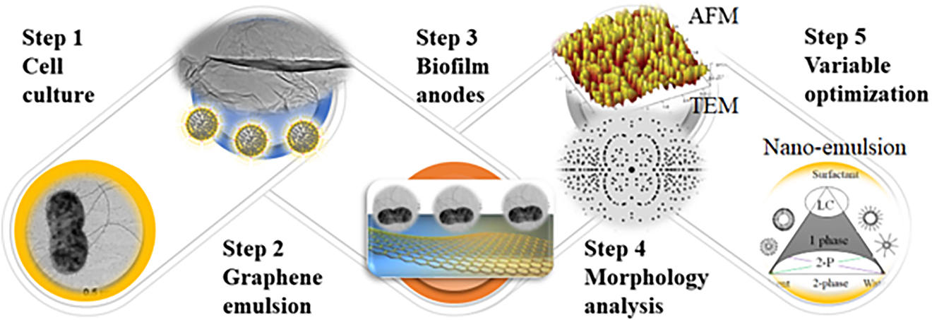 Fig. 8: 
The performance of MFC devices using electrocatalysts to form biofilm using graphene as support.
