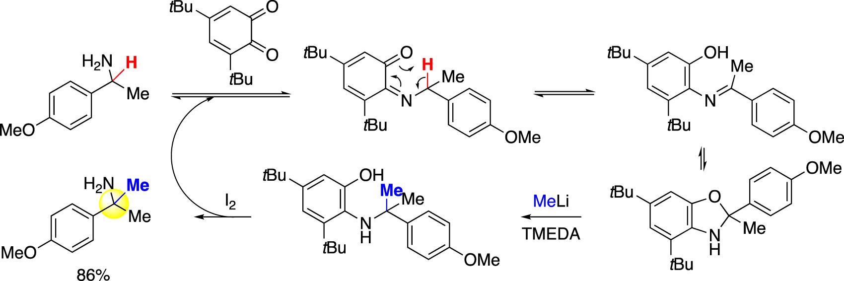 Fig. 4:
Quinone-mediated α-methylation of α-branched primary amine (Dixon).