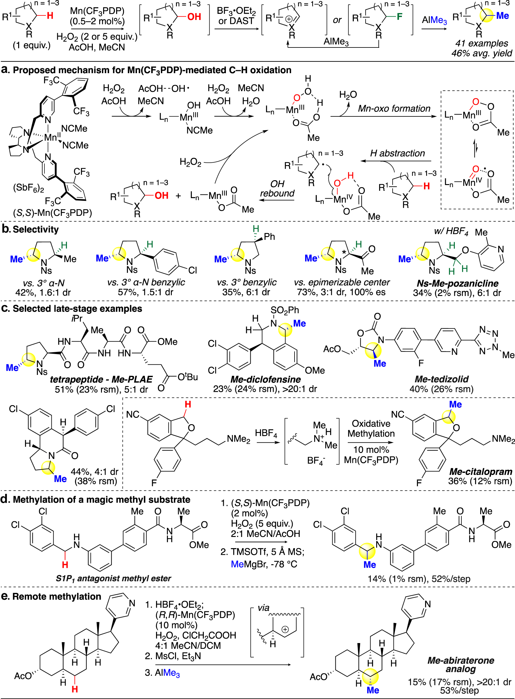 Fig. 6:
Late-stage oxidative C(sp3)–H methylation mediated by Mn(CF3PDP) (White).