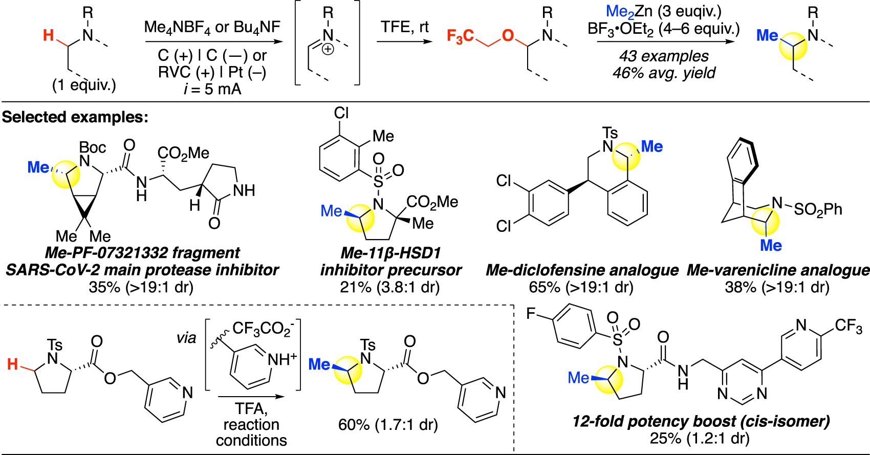 Fig. 8:
Oxidative C(sp3)–H methylation via anodic oxidation (Lin).