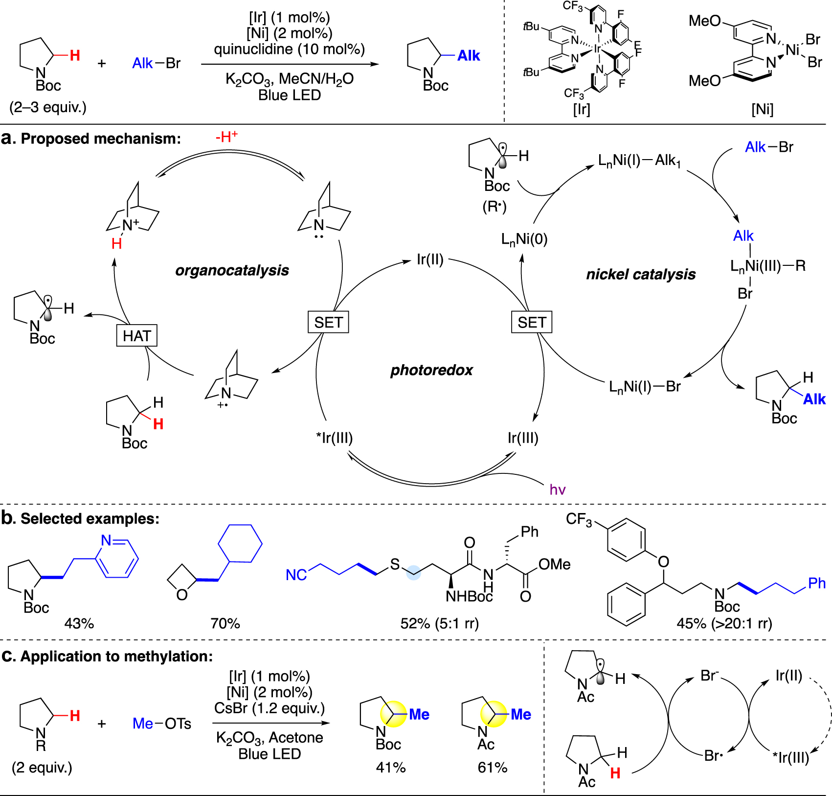 Fig. 9:
C(sp3)–H alkylation via polarity-matched hydrogen atom transfer (HAT) and nickel-mediated cross-coupling (MacMillan).