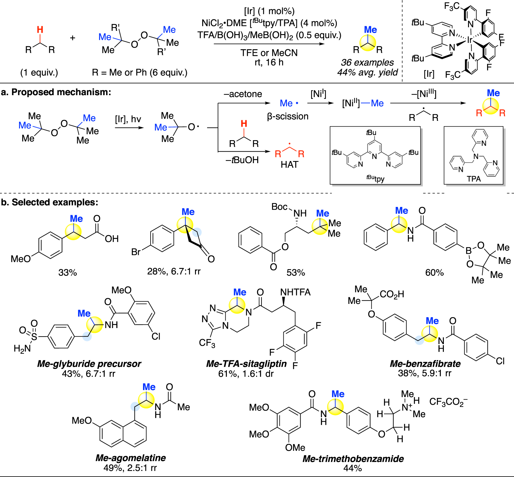 Fig. 10:
C(sp3)–H methylation via photosensitization-assisted hydrogen atom transfer (HAT) and nickel-mediated cross-coupling (Stahl).