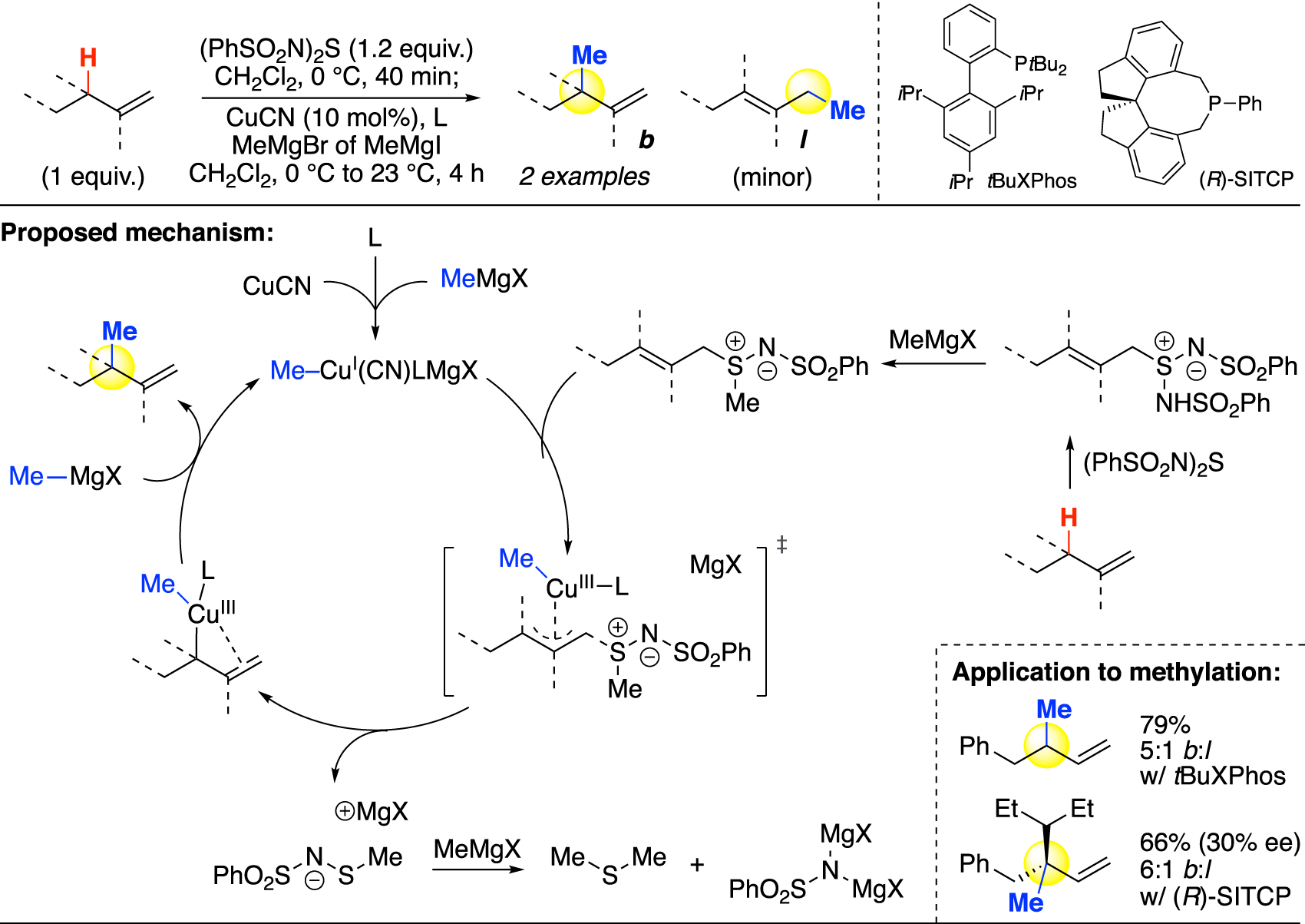Fig. 11:
Allylic methylation via ene reaction and copper-catalyzed cross-coupling (Tambar).