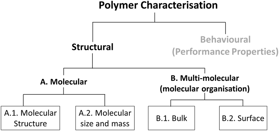 A brief guide to polymer characterization: structure (IUPAC Technical ...