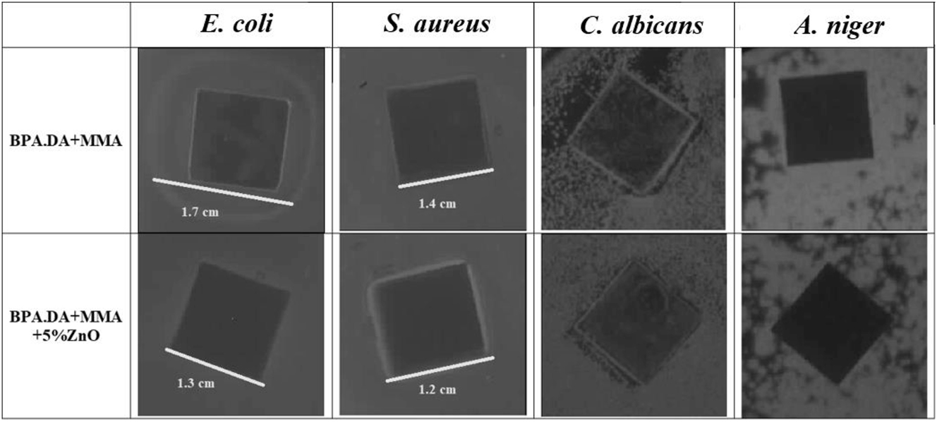 Fig. 13: 
Results a obtained in the modified disk-diffusion method for MMA composites.

