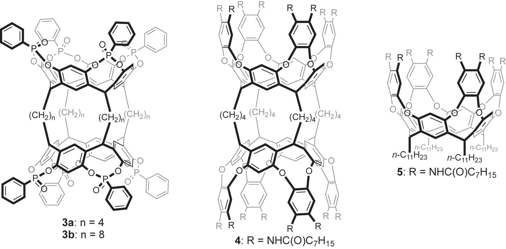 Fig. 2: 
Structures of biscavitands 3a,b and 4, and self-folding cavitand 5.