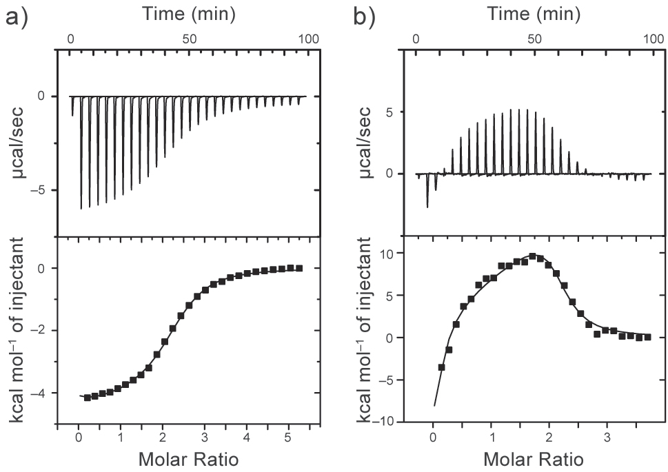 Fig. 4: 
ITC titration experiments of 3a with G1 in (a) methanol and (b) chloroform. The top graph shows the instrumental power function vs. time. The bottom graph shows the plot obtained from the integration of the calorimetric titration. Reproduced from Ref. [12b] with permission. Copyright 2020 Wiley-VCH Verlag GmbH & Co. KGaA, Weinheim.
