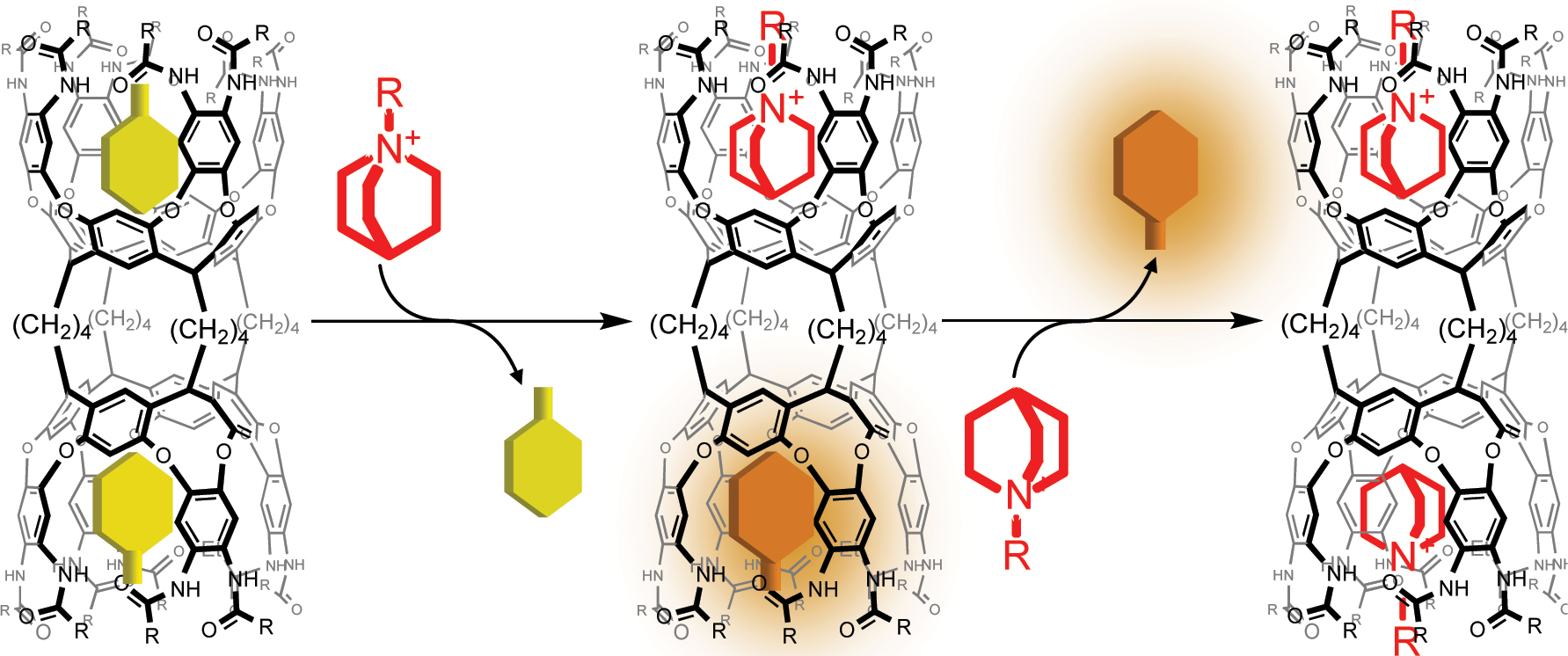 Fig. 11: 
Plausible explanation of the negative cooperative host–guest complexation of 4.