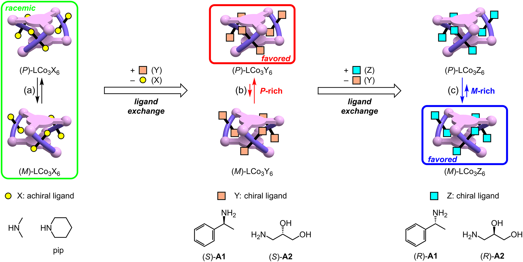 Fig. 5: 
P/M equilibrium shifts of LCo3X6 driven by the X → Y → Z ligand exchange reactions at the cobalt(III) centers.