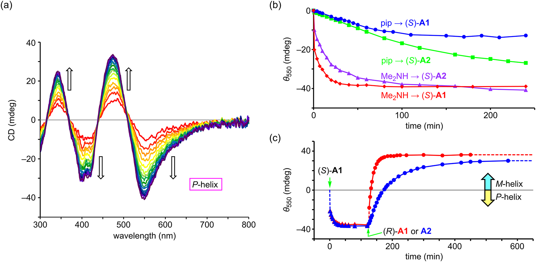 Fig. 6: 
Time-course CD spectral changes upon the ligand exchange of LCo3X6. (a) Full spectra for the exchange of Me2NH → (S)-A2. (b) Time-course changes in the CD intensity at 550 nm for the exchange of achiral amines with the chiral amines (12 equiv). (c) The P → M chirality inversion of LCo3X6 by the second amine, (R)-A1 or (R)-A2 (120 equiv). Reproduced with modification from ref. [20] with permission, Copyright 2019, Wiley-VCH Verlag GmbH & Co. KGaA.
