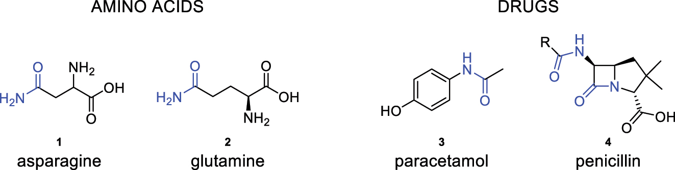 Fig. 1:
Amino acids and medications containing amide bonds in their structure.