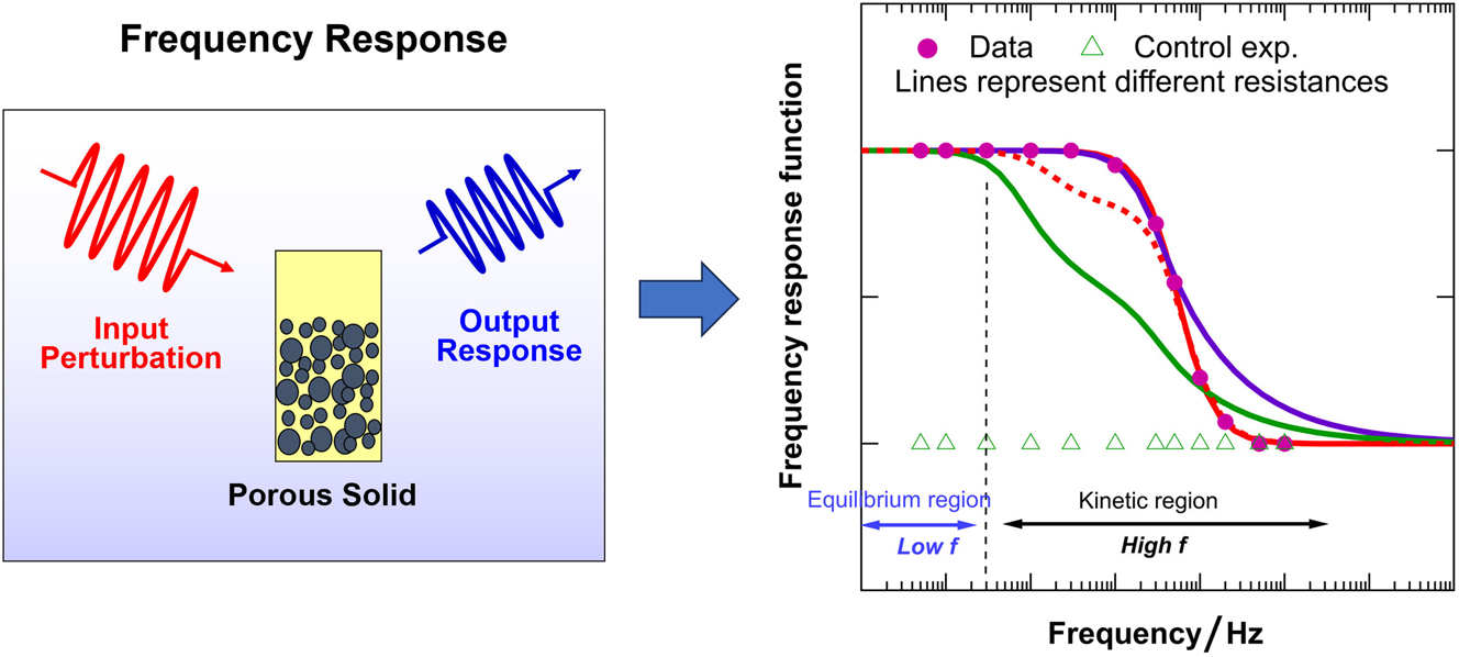Fig. 9:
General concept of Frequency Response, a pseudo-steady state relaxation method in which a small perturbation (usually <5 %) is applied to the system and the response of another system variable is monitored. The resulting response curve contains mass-transfer information which can be interpreted with the help of mathematical models, corresponding to different resistances. With an additional degree of freedom (perturbation frequency f), FR can discriminate among different mass-transfer mechanisms by examining the response over a large frequency spectrum. Equilibrium-related information, that is, local isotherm slope, can also be directly extracted from slow frequencies. As an alternative approach, the characteristic function can be further normalized by the equilibrium value, allowing data to start from 1 at low frequencies.