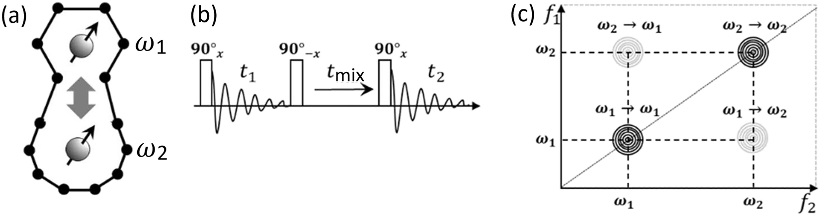Fig. 26:
Guest hopping recorded by 2D exchange NMR: Schematic diagrams of (a) two nuclear spins on atoms or molecules in different local nanopore environments that exchange their positions and lead to distinct NMR frequencies that manifest different chemical shifts or quadrupolar interactions, (b) a 2D exchange NMR experiment, showing the three 90° radiofrequency pulses and their phases and the evolution (t
1), mixing (t
mix), and detection (t
2) time periods, and (c) a contour-plot representation of a hypothetical 2D exchange NMR spectrum obtained after Fourier-transformation of the time-domain signals (t
1,t
2) into the frequency domain (ω
1, ω
2). Adapted from Selter et al.
207
with permission.