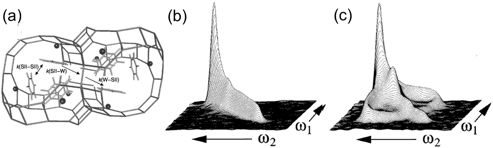 Fig. 27:
2D Exchange NMR study with benzene in zeolite Ca2+-LSX: (a) Molecules of benzene adsorbed at Ca2+ SII cation sites in zeolite Ca2+-LSX. Several rate coefficients for benzene exchange between intra-supercage SII sites k(SII–SII), from an SII site to a supercage window site k(SII–W), and from a window site to an SII site in a neighboring supercage k(W–SII). (b, c) Static 2D exchange 13C NMR spectra acquired for single-site 13C-enriched benzene adsorbed on Ca2+-LSX zeolite at 298 K with a mixing time of (b) 1 ms, during which negligible site-hopping occurs or (c) mixing time of 300 ms, during which a substantial fraction of the benzene molecules has hopped to different sites. Adapted from Schaefer et al.
215
with permission.