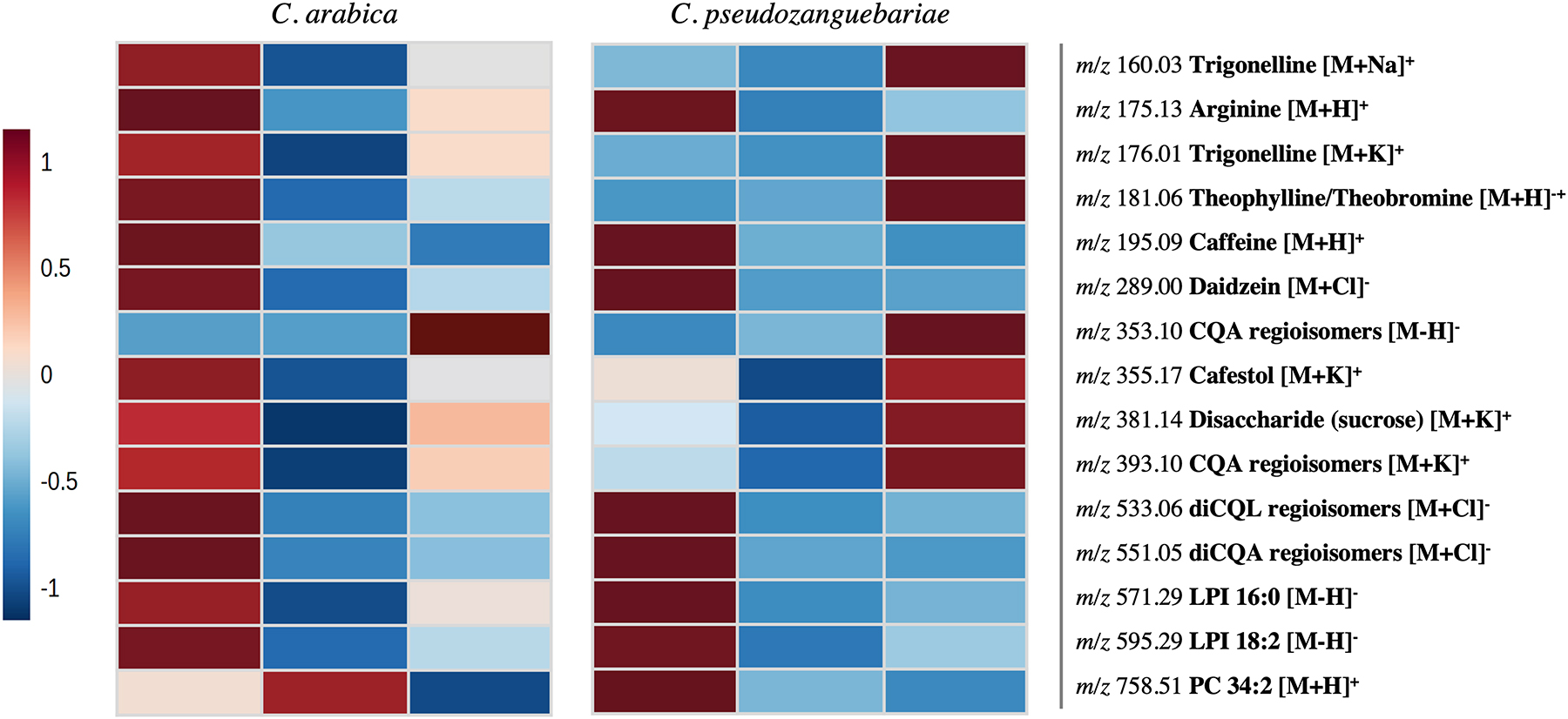 Fig. 4: 
Heatmaps generated by confronting the mean intensities of 15 molecular features specifically enriched within the embryo, endosperm, or epidermal layer of single C. arabica and C. pseudozanguebariae bean sections.