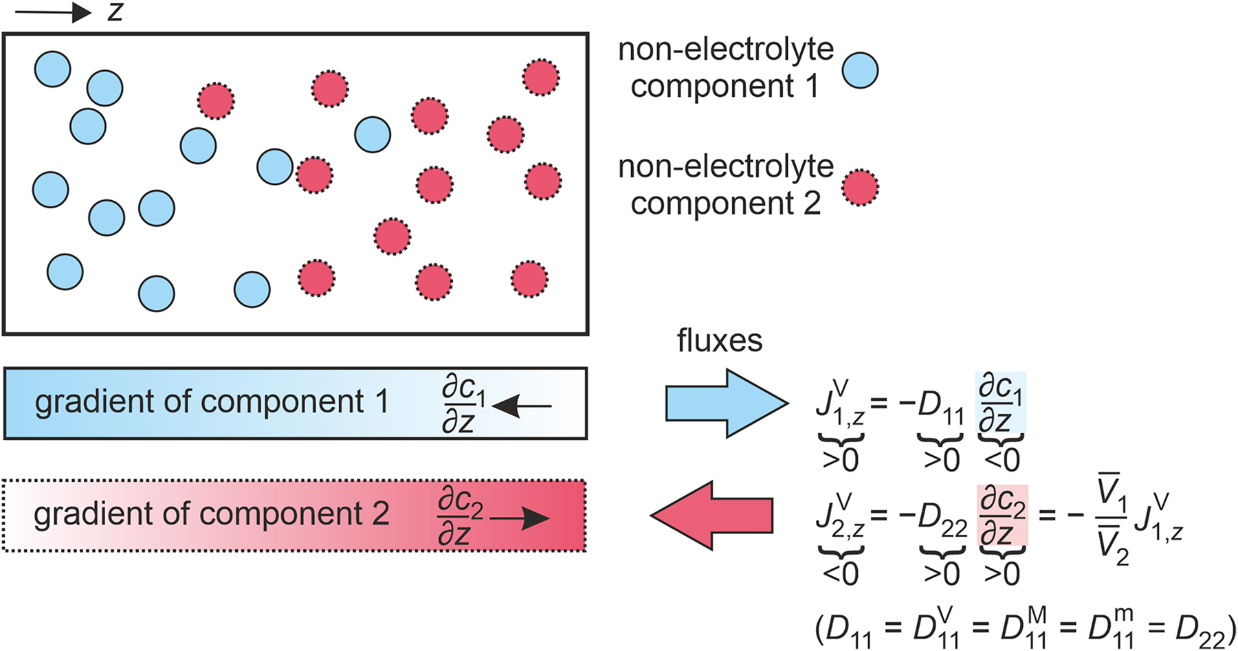 Fig. 1:
Illustration of the gradients and fluxes in a binary non-electrolyte mixture consisting of components 1 and 2 at an instant of time. Additionally, the relationships between the one-dimensional amount fluxes in the volume-averaged reference frame
J
i
,
z
V
${J}_{i,z}^{\mathrm{V}}$
, the Fick diffusion coefficients D
11 or D
22, and the one-dimensional concentration gradients ∂c
i
/∂z are given. Finally, the closing condition, which relates
J
1
,
z
V
${J}_{1,z}^{\mathrm{V}}$
and
J
2
,
z
V
${J}_{2,z}^{\mathrm{V}}$
via the partial molar volumes V‾
i
, and the relationship between D
11, D
22, and the Fick diffusion coefficients in the different reference frames are stated.