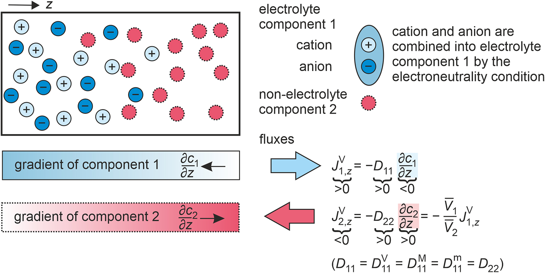 Fig. 4:
Illustration of gradients and fluxes in a binary electrolyte mixture consisting of an electrolyte component 1, dissociated into cations 1+ and anions 1−, and a non-electrolyte component 2 at an instant of time. Additionally, the relationships between the one-dimensional amount fluxes in the volume-averaged reference frame
J
i
,
z
V
${J}_{i,z}^{\mathrm{V}}$
, the Fick diffusion coefficients D
11 or D
22, and the one-dimensional concentration gradients ∂c
i
/∂z are given. Finally, the closing condition, which relates
J
1
,
z
V
${J}_{1,z}^{\mathrm{V}}$
and
J
2
,
z
V
${J}_{2,z}^{\mathrm{V}}$
via the partial molar volumes V‾
i
, and the relationship between D
11, D
22, and the Fick diffusion coefficients in the different reference frames are stated.