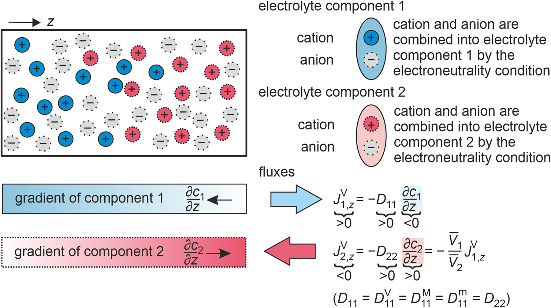 Fig. 6:
Illustration of gradients and fluxes in a binary electrolyte mixture consisting of two electrolyte components 1 and 2, which share a common anion, at an instant of time. Additionally, the relationships between the one-dimensional amount fluxes in the volume-averaged reference frame
J
i
,
z
V
${J}_{i,z}^{\mathrm{V}}$
, the Fick diffusion coefficients D
11 or D
22, and the one-dimensional concentration gradients ∂c
i
/∂z are given. Finally, the closing condition, which relates
J
1
,
z
V
${J}_{1,z}^{\mathrm{V}}$
and
J
2
,
z
V
${J}_{2,z}^{\mathrm{V}}$
via the partial molar volumes V‾
i
, and the relationship between D
11, D
22, and the Fick diffusion coefficients in the different reference frames are stated.