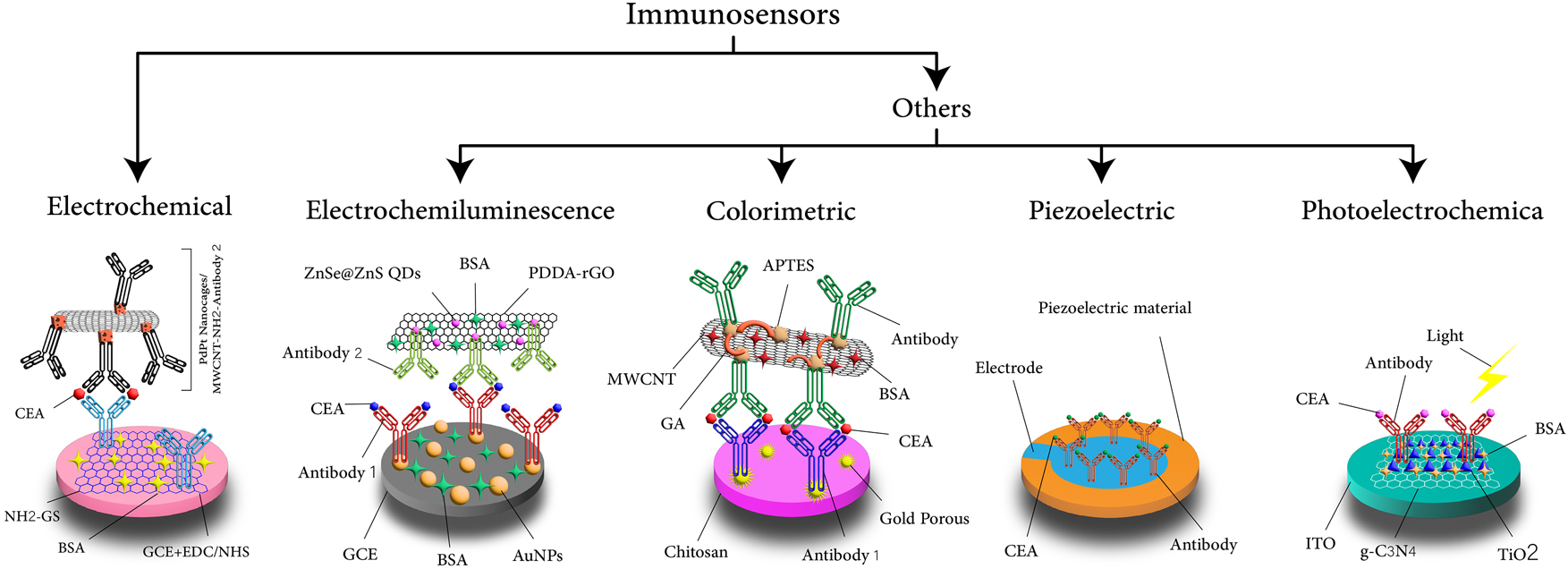 Teaser image from the article