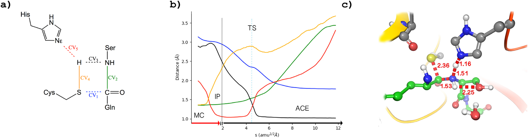 Fig. 4: 
Exploration of complex enzymatic reactions. a) Bond distances involved in the acylation reaction catalysed by the main protease of SARS-CoV-2. B) Evolution of the bond distances along the mininum free energy path. C) Schematic representation of the transition state. Adapted with permission from ref. 54].
