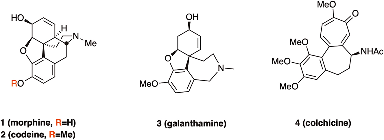Teaser image from the article