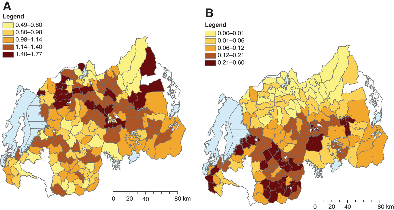 Figure 5: Spatial distribution of the drop in schooling and 1991 share of Tutsi. (A)  Drop in Schooling; (B) Share of Tutsi, 1991.Notes: Figure (A) shows the spatial distribution of the drop in schooling attainments across the different Communes of Rwanda. Values are obtained by estimating the DiD coefficient of regression 3 in Table 3 separately for each Commune. Figure (B) shows instead the spatial distribution of the share of Tutsi living in each Commune by 1991. Information is taken from the 1991 census. Different colors identify different quintiles, with a darker shade indicating a larger drop in schooling (Figure (A)) or a higher share of Tutsi (Figure (B)). No data are available for areas in white, which mostly include national parks and forests.