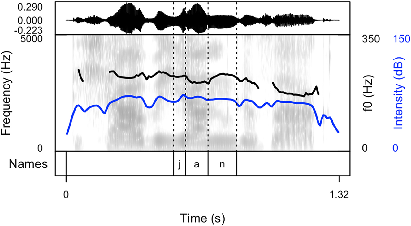 Figure 2A:
Spectrogram and oscillogram of the name “Jan” produced in a sentence context.