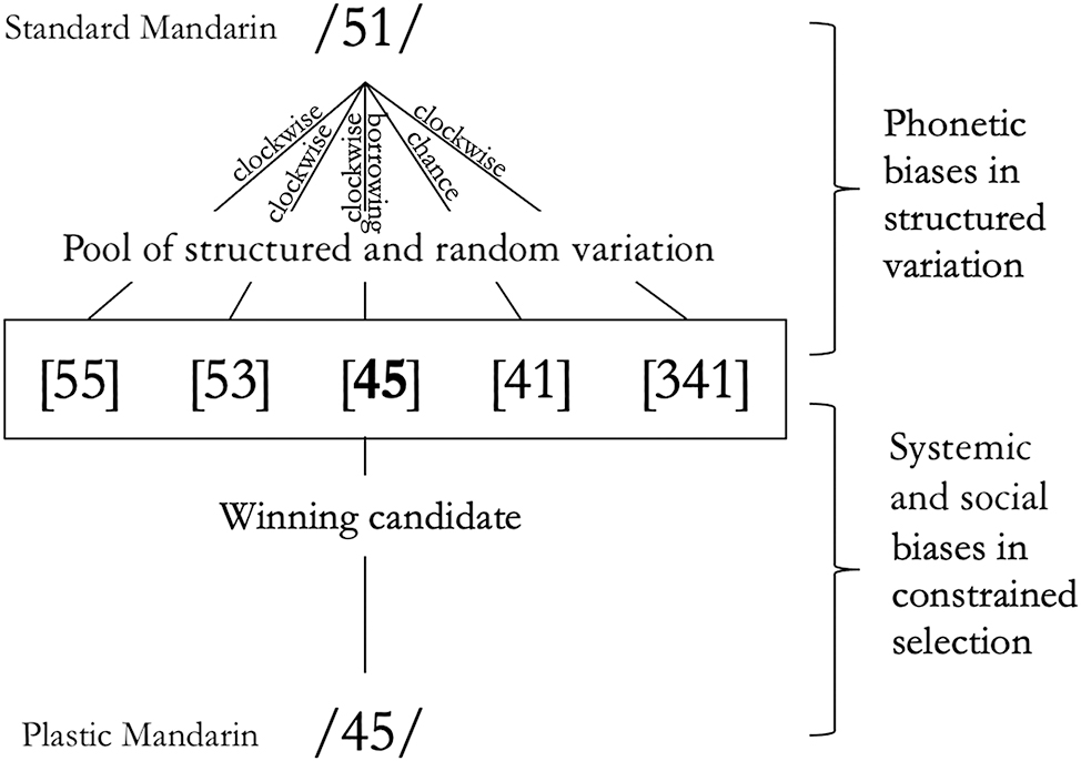 Figure 10: 
Schematic illustration of the phonologisation of the high rising contour of Tone 4 in Plastic Mandarin. Variants [53], [55], [341], and [45] reflect the clockwise bias in tonal variation. [45] may also be a borrowed variant and [41] may be a phonetically similar random variant.
