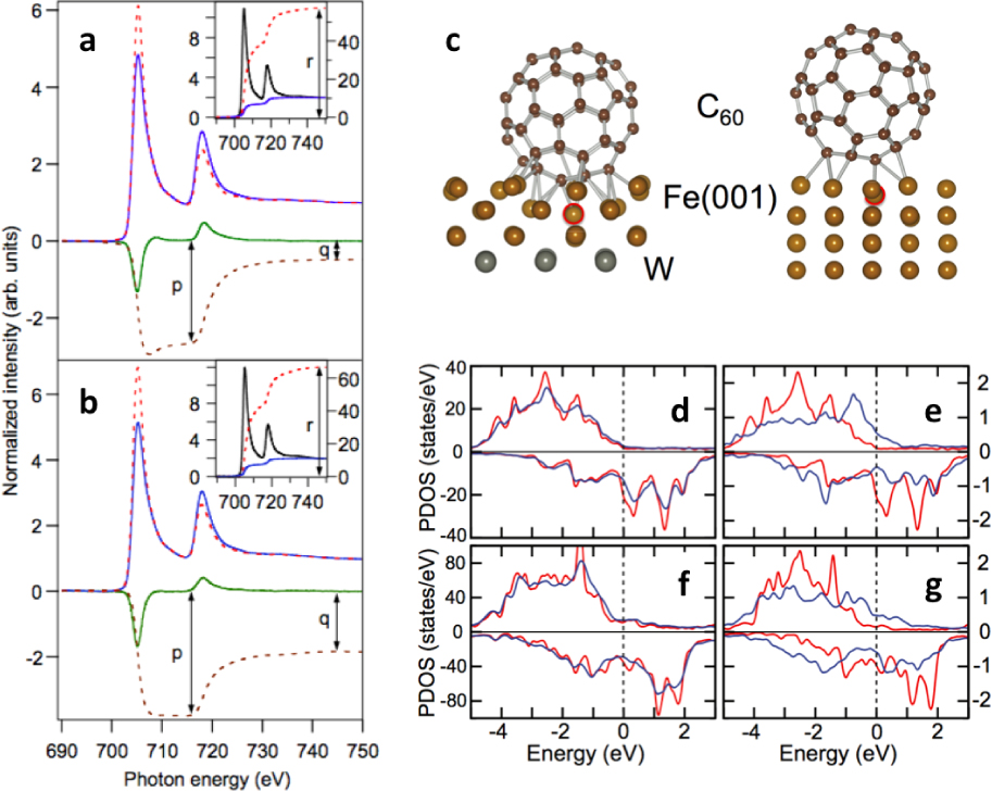 Figure 10 Electronic and magnetic structure of C60 on ~3 MLs Fe on W(001). On the left: normalized XAS spectra recorded at opposite remanent magnetization (red and blue) and the corresponding XMCD spectra (green) plus integrated XMCD intensity (brown) measured at the Fe L2,3 edges, of (a) 3MLs of Fe on W(001) and (b) the same sample after deposition of several nm of C60. The insets show the summed XAS spectra and their integrals; a stepped background (blue) was subtracted from the summed XAS spectra prior to integration. The adsorption geometry of the C60 molecule is depicted in (c), where the most significantly affected Fe atom is encircled in red. (d-g) DFT calculations of the projected DOS (PDOS) of majority (top) and minority (bottom) spin states, projected on the top Fe layer, are shown at (d) the C60/Fe(001) interface (blue), compared to the PDOS of a clean Fe(001) surface layer (red). (e) shows the PDOS of the most strongly affected Fe atom (blue), compared to the PDOS of a clean Fe(001) surface atom; (f, g) as (d, e), but for the Fe/W(001) substrate. (After Ref. [87]).