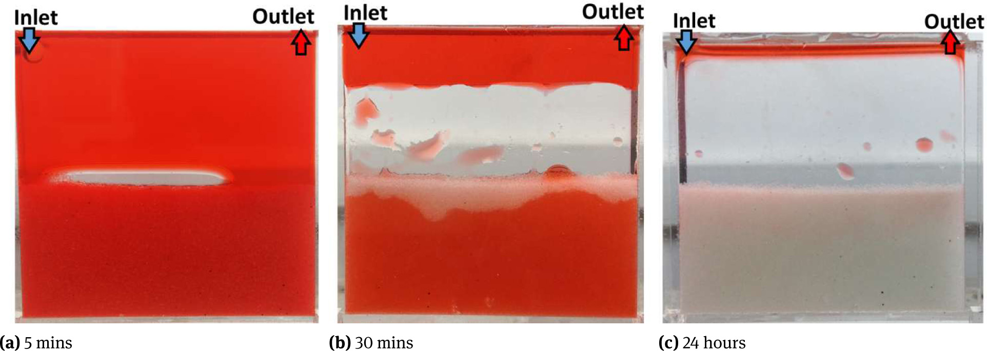 Figure 4 Fluid saturation at different times in experiment of water-wet model