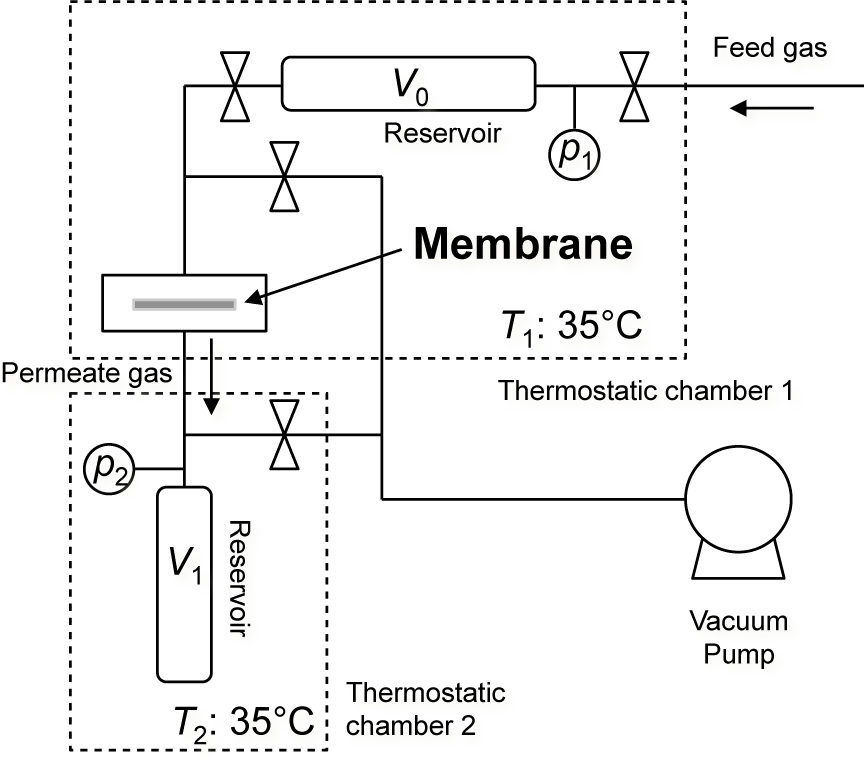 Figure 1 Experimental set up for gas permeation system