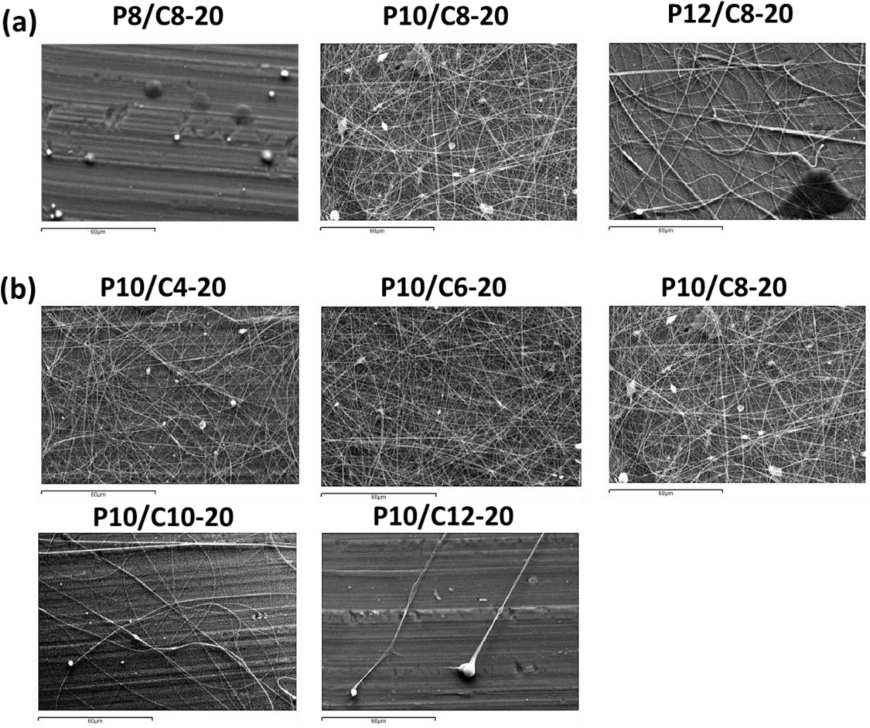 Figure 3 SEM images of coaxial PVA/chitosan (as core/shell) nanofibers prepared using: (a) different core solutions but the same shell solution (C8-20), (b) the same core solution (P10) but different shell solutions. The core and shell flow rates were the same (0.15 mL/h). (Scale bar = 60 μm)