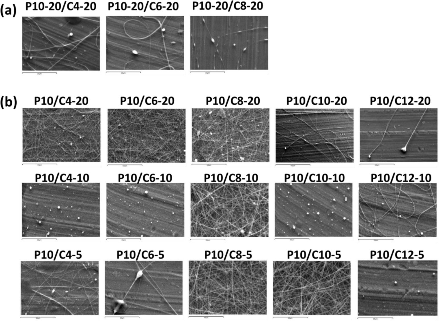 Figure 4 SEM images of coaxial PVA/chitosan (as core/shell) nanofibers prepared using: (a) the same core solution (P10-20) but different shell solutions, (b) the same core solution (P10) but different shell solutions. The core and shell flow rates were the same (0.15 mL/h). (Scale bar = 60 μm)