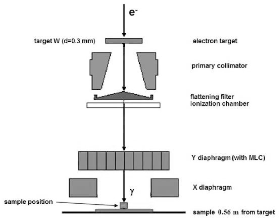 Figure 1 Schematic view of the cLINAC setup
