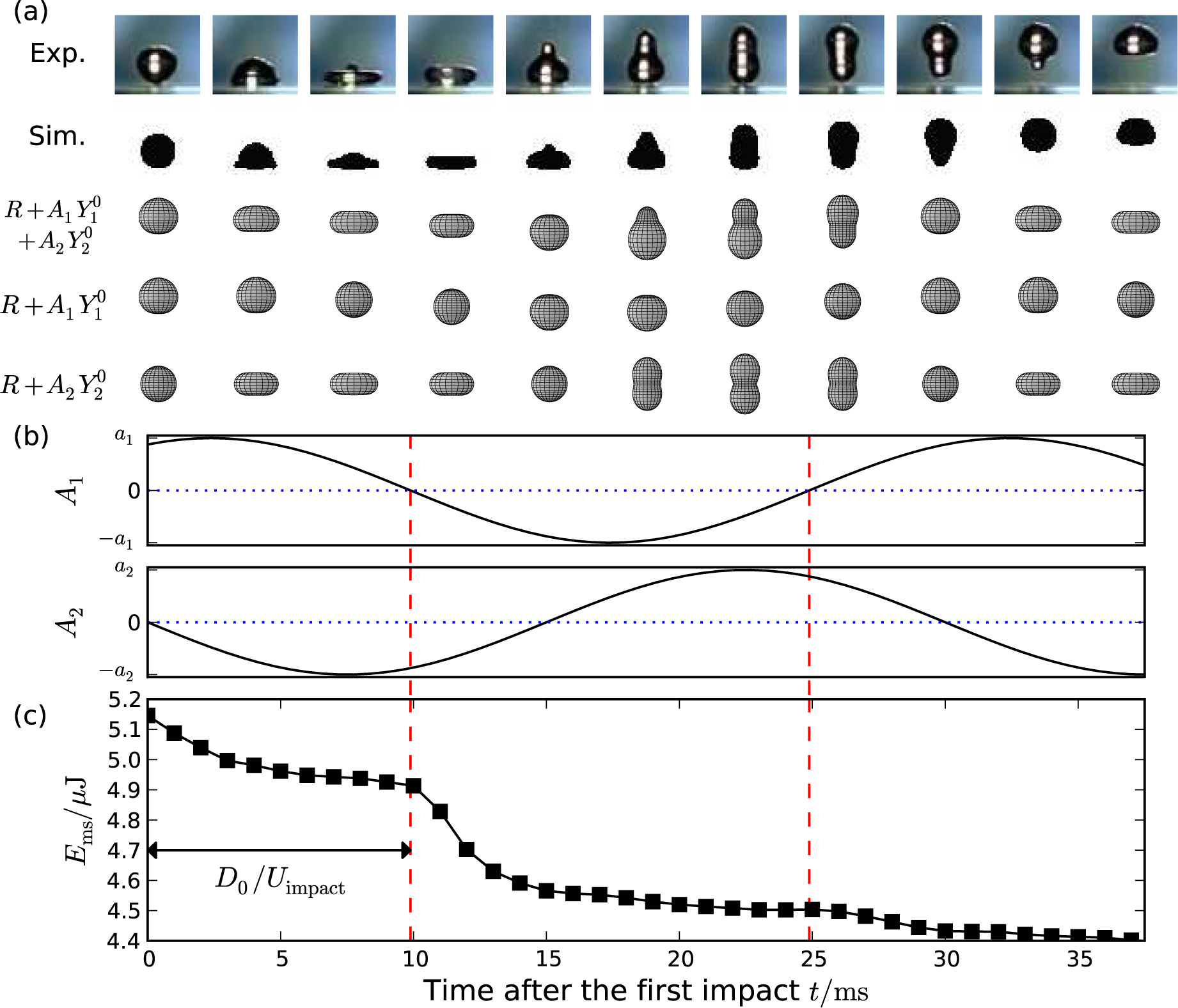Figure 12 A sequential analysis of the deformation of the impacting drop with shared time axis, with We = 7. (a) Spherical harmonic deformations represented by 
R+A1Y10+A2Y20,R+A1Y10,andR+A2Y20$\begin{array}{}
R + A_1 Y_1^0 + A_2 Y_2^0, R + A_1 Y_1^0,\, \text{and}\,\, R + A_2 Y_2^0
\end{array}$ with R = 1.85 mm, a1 = 2 mm, and a2 = 2 mm, together with that of drops of the experiment (Exp.) and the CFD simulation (Sim.). (b) Intensities of 
Y10andY20,$\begin{array}{}
Y_1^0 \,\text{and}\, Y_2^0,
\end{array}$A1 and A2, respectively, are plotted as functions of the time after the first impact, t. (c) Sum of mechanical and surface tension of simulated drop is plotted as a funcion of t. Dashed lines in (b) indicates moments of A1 = 0, at which exponentially energy decays starts as shown in (c).